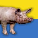 Packing Nugget Server Discord Server Icon