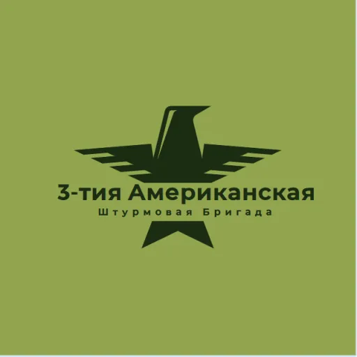 3-й Американский Теневой Батальон II BRM5 — мониторинг Discord сервера, статистика и рейтинг