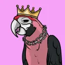 Funky Birds Club