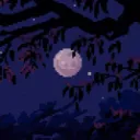 Moon Store 🌙
