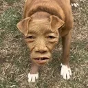 Zoom Time