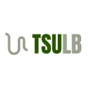 TSU - Level Building