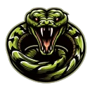 Pleasant Pythons Team Server