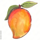 Mango SMP