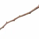 Twigitha