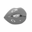 💋BackUp💋