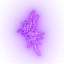 2f2