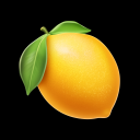LemonSlice icon