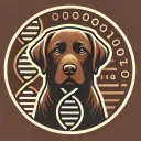 >UMBC_BCBA