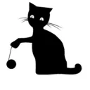 Cats Who Play