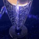Türk Bobble League Federasyonu