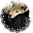 therian friendz (wq enjoyers)