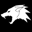 Watchdog Systems