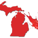 Michigan Idiots Server Icon