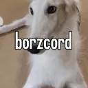 borzcord