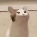 Zeyn