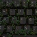 Overgrown Keyboard