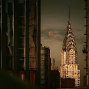 The Beasts of New York