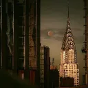 The Beasts of New York