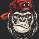 Steady Monke's COMP Team