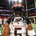 𝗠𝟮𝟰 𝗣𝗶𝗴𝘀𝗸𝗶𝗻 𝗥𝗲𝗴𝘀