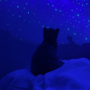 Sapphire Lounge Server Icon