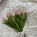 Tulips <3