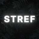 STREFA Gier [NOWY]  2.0 Polska Społeczność ┃GAME ZONE [NEW] 2.0 Polish Community Discord Server Icon