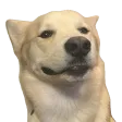 AttackofMax's server
