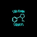 S3R0-SERVICES's icon