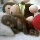 Borren esta madre