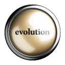 EVOLUTION (EVO) W165