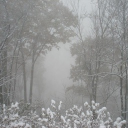 ☁‧₊˚*❅ 𝔸 𝕨𝕚𝕟𝕥𝕖𝕣'𝕤 𝕞𝕚𝕤𝕥 • 𝕊𝕠𝕔𝕚𝕒𝕝 • 𝕕𝕞𝕤 ❅*˚₊‧☁ Discord server icon