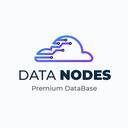DataNodes Discord Server Icon