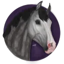 𝐒𝐀𝐓𝐔𝐑𝐍 𝐑𝐎𝐂𝐊𝐄𝐓𝐒 𝐎𝐒