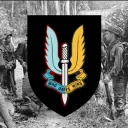 D Troop, 1 Squadron, Special Air Service Regiment