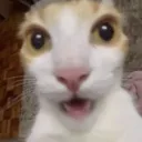 tisiay 2