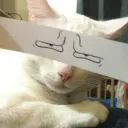 Seita do discord