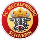 FC Mecklenburg Schwerin eSports
