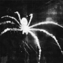 ⋆｡°✩ 𝙎𝙥𝙞𝙙𝙚𝙧𝙯 ⊹ ࣪ ˖