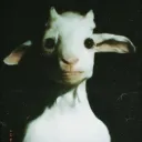 The Cøven ✗ 𝘍𝘪𝘯𝘪𝘵 𝘩𝘪𝘤 𝘋𝘦𝘰