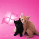 𝐂𝐡𝐢𝐥𝐥𝐢𝐧𝐠 𝐒𝐪𝐮𝐚𝐫𝐞