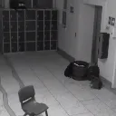 Silent School: MCZRP