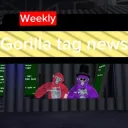 Weekly gtag news