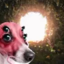 𐌕𐋅𐌄 𐌕𐌵𐌍𐌍𐌄𐌋 ᕓ𐌉𐌔𐌉Ꝋ𐌍