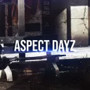 DayZ: Aspect