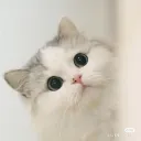 （維護中）◞ ¹⁴ ᴅᴀʏ｜夢境進度 ɢᴏ ᴀʜᴇᴀᴅ.