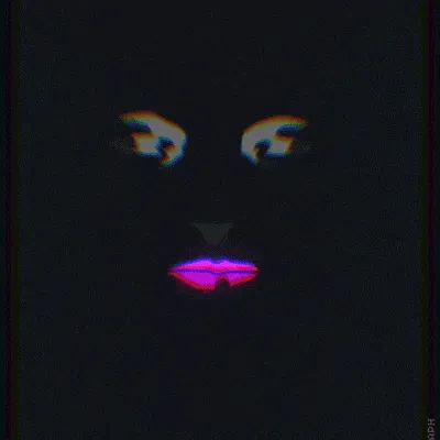 Сообщество геймеров — мониторинг Discord сервера, статистика и рейтинг