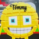 ୨୧ ‧₊˚degenerate smp :3