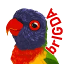 Brisbane IGDA